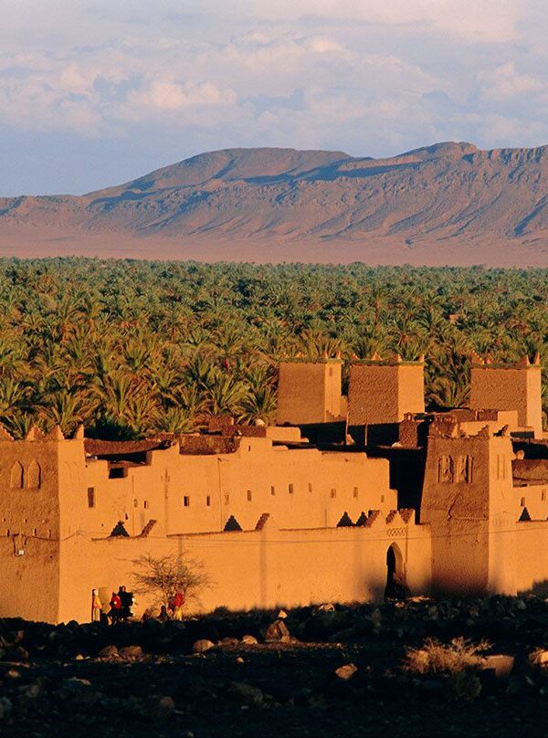 Camel trekking in the Zagora desert during a 2-day Sahara tour from Marrakech
